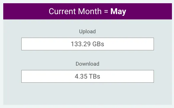 Biểu đồ thống kê mức sử dụng dữ liệu internet tháng 5 năm 2024, với hơn 4 Terabyte tải xuống và hơn 100 Gigabyte tải lên, cho thấy nhu cầu băng thông lớn.