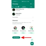 Cách tìm một Kênh WhatsApp trên giao diện tab Cập nhật của ứng dụng