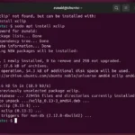 Cài đặt xclip trên Ubuntu bằng trình quản lý gói apt.