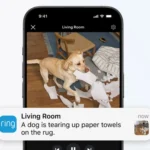 Camera Ring hiển thị cảnh báo mô tả video thông minh