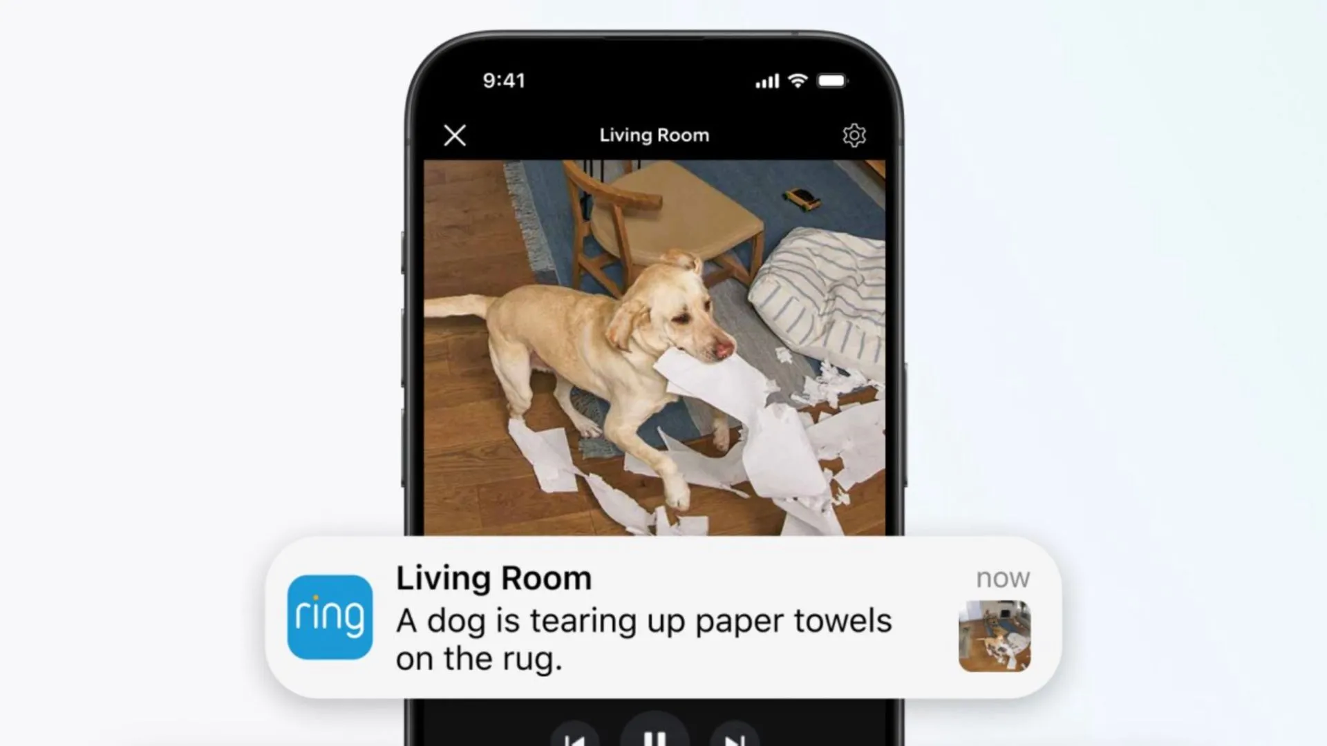Camera Ring hiển thị cảnh báo mô tả video thông minh