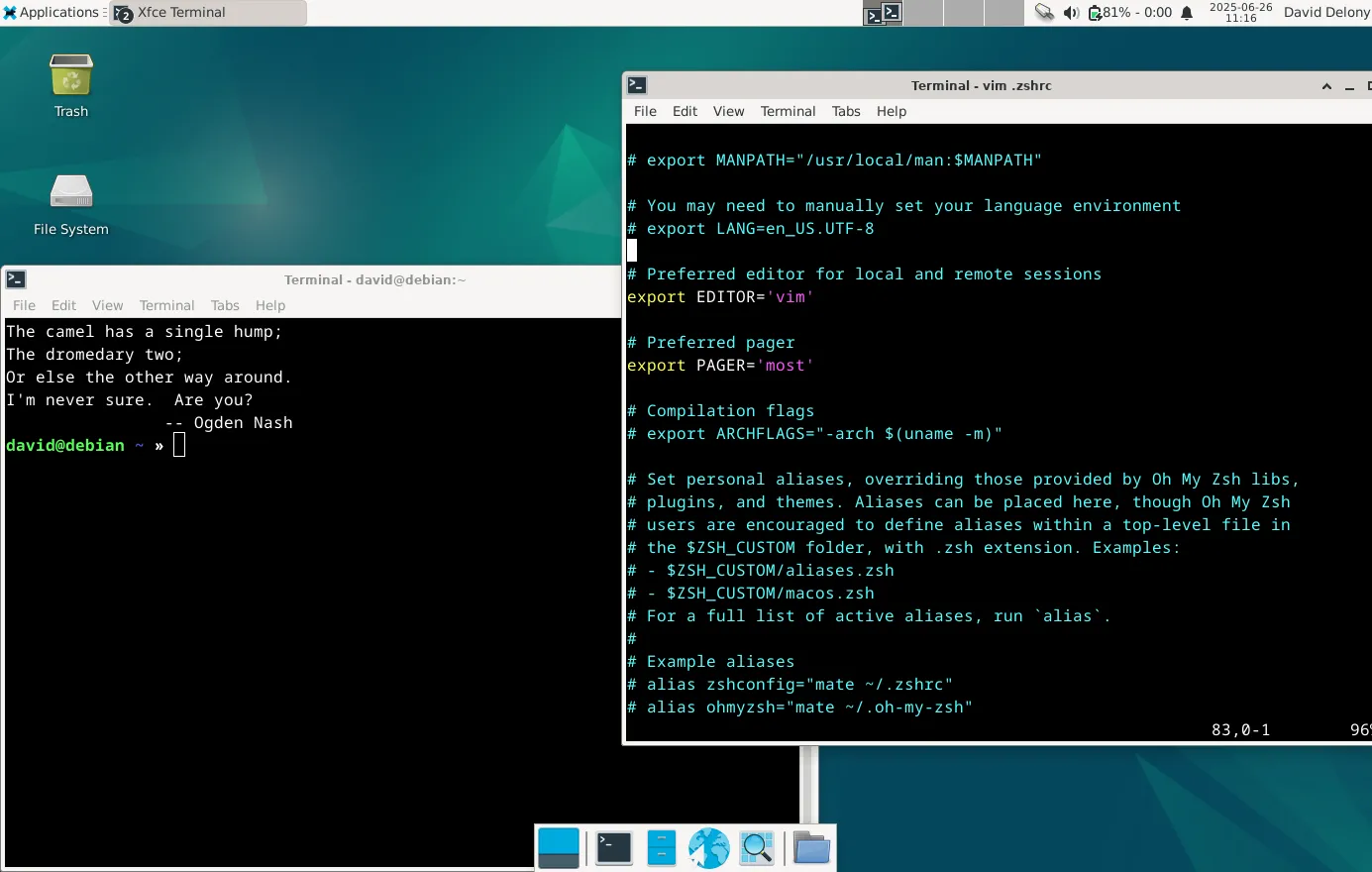Chỉnh sửa tệp .zshrc trong một cửa sổ terminal và sử dụng terminal dự phòng trên Linux để kiểm tra thay đổi.