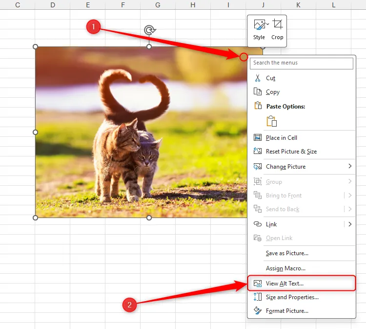 Giao diện Excel với hình ảnh, hiển thị menu chuột phải và tùy chọn &quot;View Alt Text&quot; được chọn để thêm mô tả.