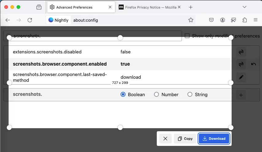 Giao diện tính năng chụp màn hình Firefox mới đang hoạt động