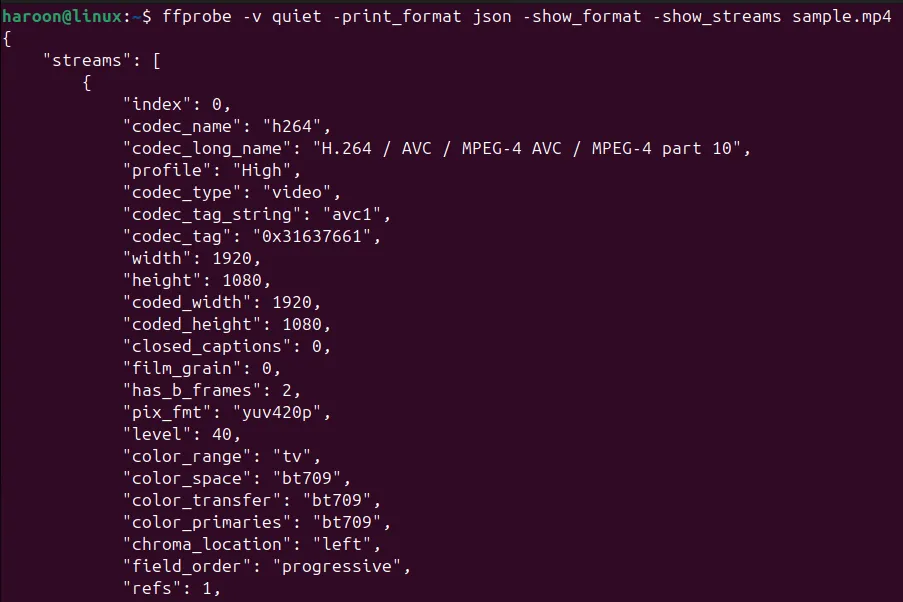 Hiển thị thông tin video ở định dạng JSON trong cửa sổ terminal