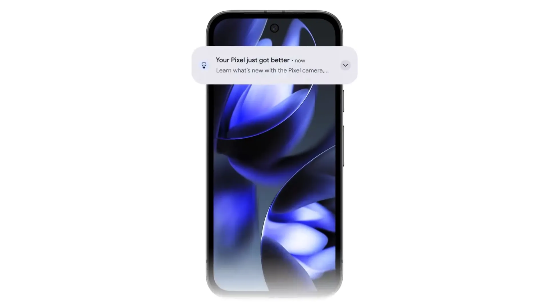 Hình ảnh cận cảnh màn hình pOLED của Google Pixel 9a hiển thị nội dung sống động, nhấn mạnh độ sáng và màu sắc rực rỡ.