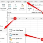 Lựa chọn "From Web" trong menu "Get Data" của Excel