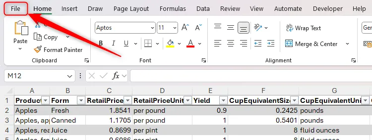 Menu Tệp (File) trên thanh ribbon của Microsoft Excel