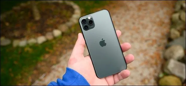 Người dùng đang cầm chiếc iPhone 11 Pro màu xanh rêu ở công viên, tượng trưng cho việc sử dụng điện thoại và nhu cầu sạc pin.