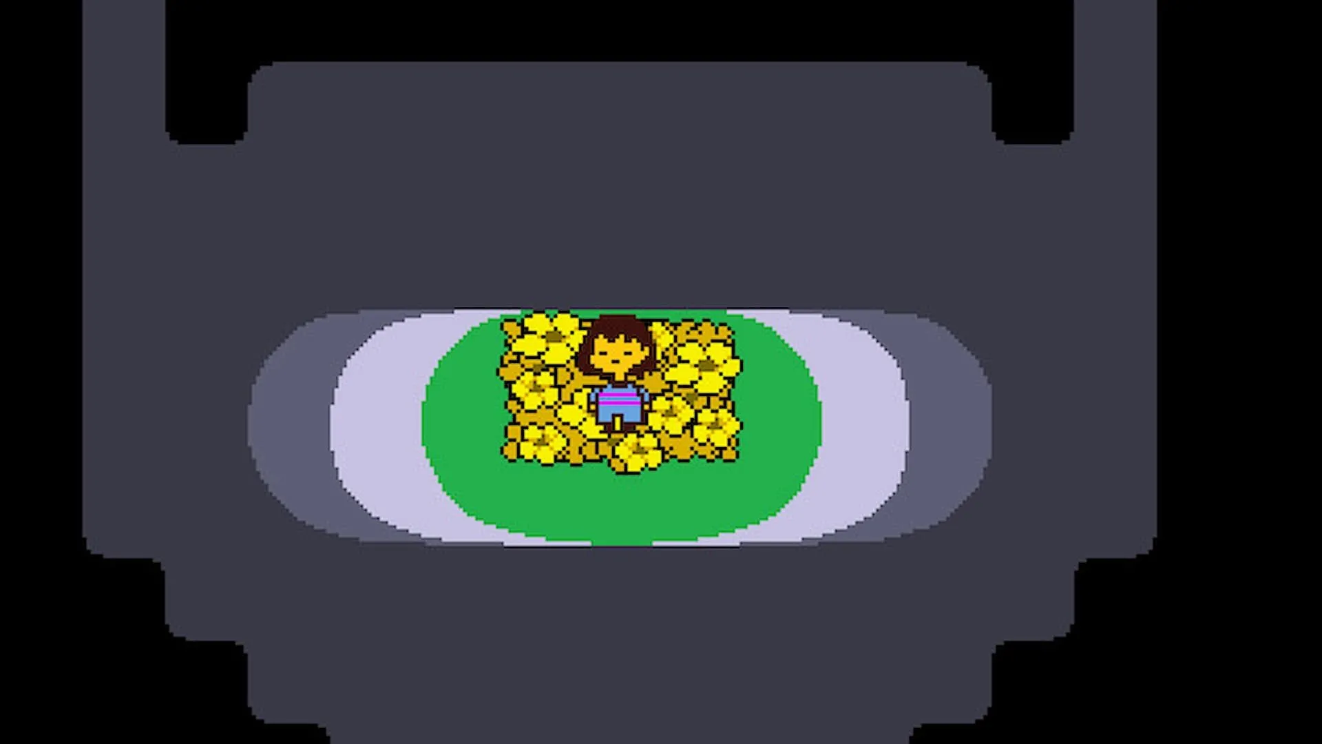 Nhân vật chính của Undertale giữa những bông hoa, liên quan đến bí ẩn W. D. Gaster.
