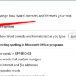 Tab Proofing trong cửa sổ Tùy chọn Word