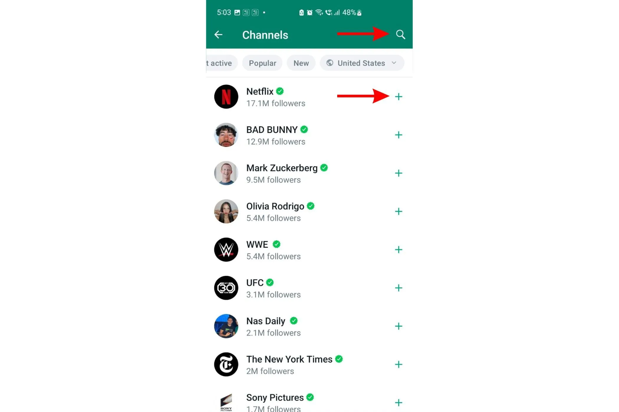 Tìm kiếm Kênh WhatsApp cụ thể và nhấn biểu tượng dấu cộng để theo dõi