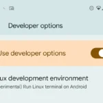 Tùy chọn môi trường nhà phát triển Linux trong tùy chọn nhà phát triển Android trên Pixel.