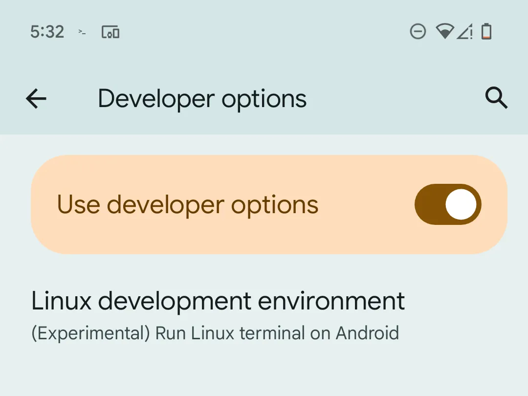 Tùy chọn môi trường nhà phát triển Linux trong tùy chọn nhà phát triển Android trên Pixel.