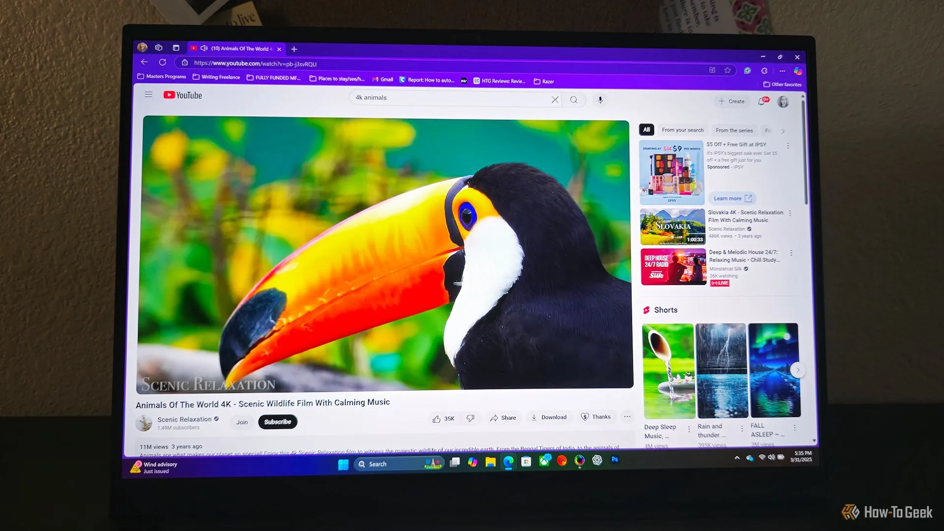 Video YouTube về một con chim Toucan đang được phát trên màn hình laptop gaming Razer Blade 16 (2025)